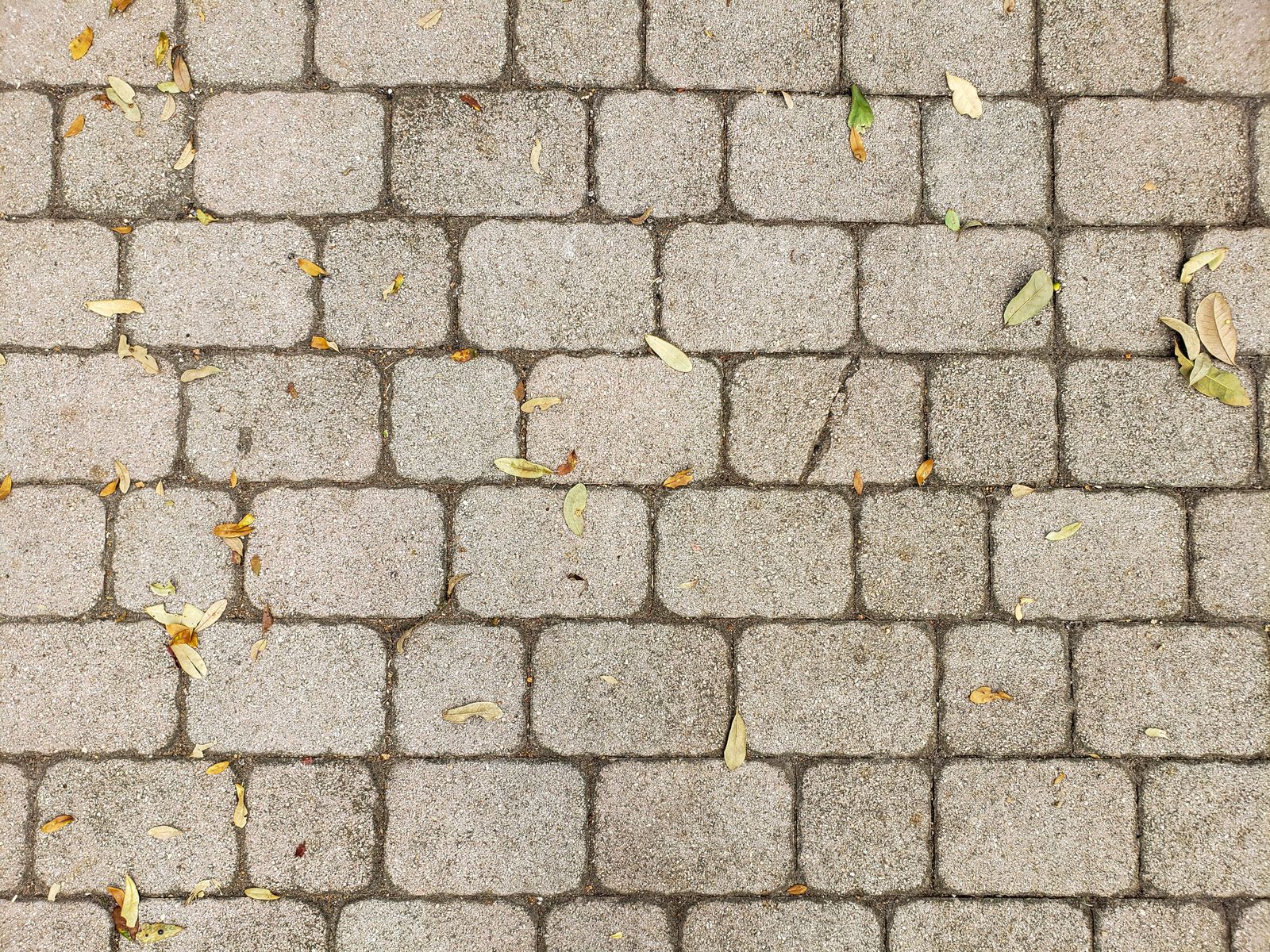 Interlocking concrete paver detail