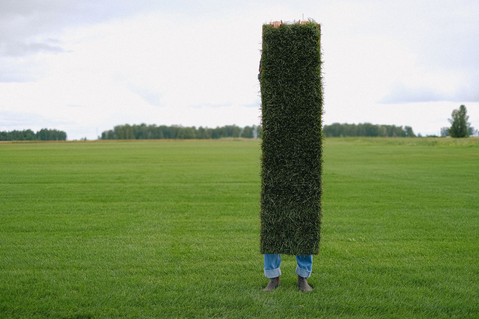 Professional handling of lawn sod during installation